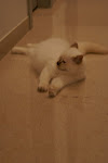 DSC05128.JPG
