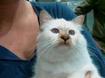 IMAG0012.jpg