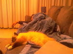 IMAG0005.jpg