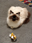 DSC00422.JPG