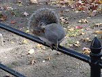 DSC01235.JPG