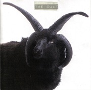 The Cult Cover