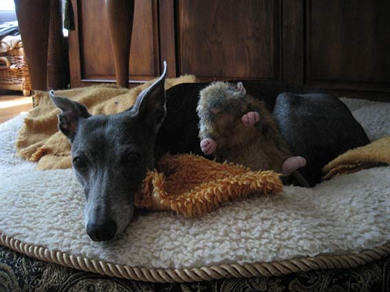 [ronja-recovering-2010[5].jpg]