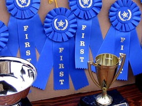 [first-place-ribbons-2[5].jpg]