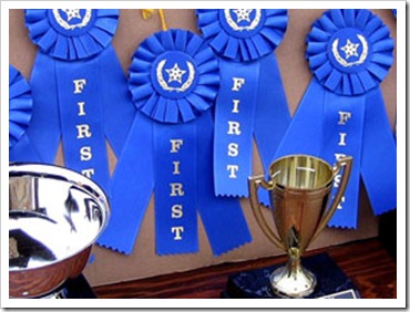 first-place-ribbons-2