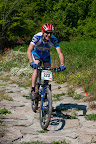 071_MTB_2010
