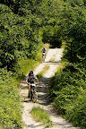 261_MTB_2010