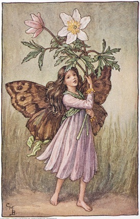 [The Windflower Fairy;[5].jpg]