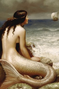 [2588809732_74108998c0_o[5].jpg]