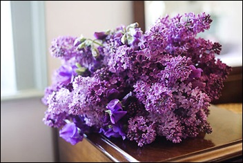 Bloemetje Voor Oma Nijn Bloemetje Voor Oma Nijn