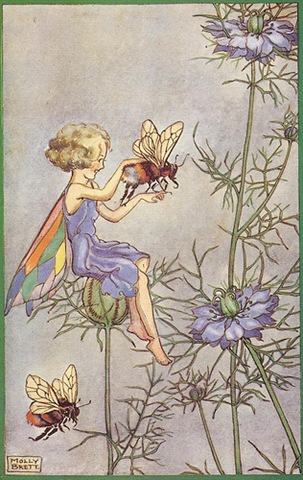 [2357140000_eb420884cf[5].jpg]