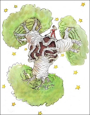 littleprince littleprince