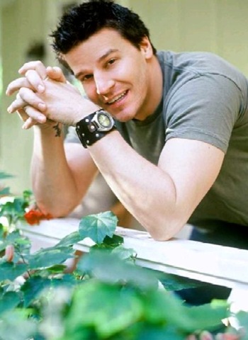 [david_boreanaz_05[4].jpg]