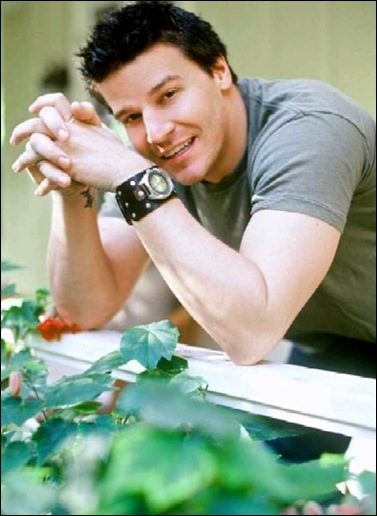 david