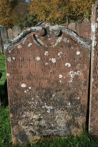 doman anne w armstrong