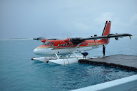 DSC_0339.JPG