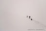 DSC_4120.jpg