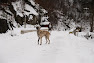 leaota-intrevai1.jpg