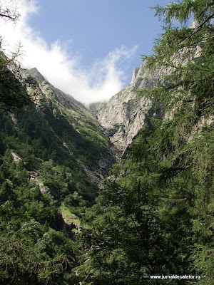 Valea Alba - Albisoara Branei (3).jpg