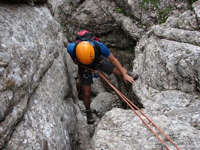 Valea Alba - Albisoara Branei (32).JPG
