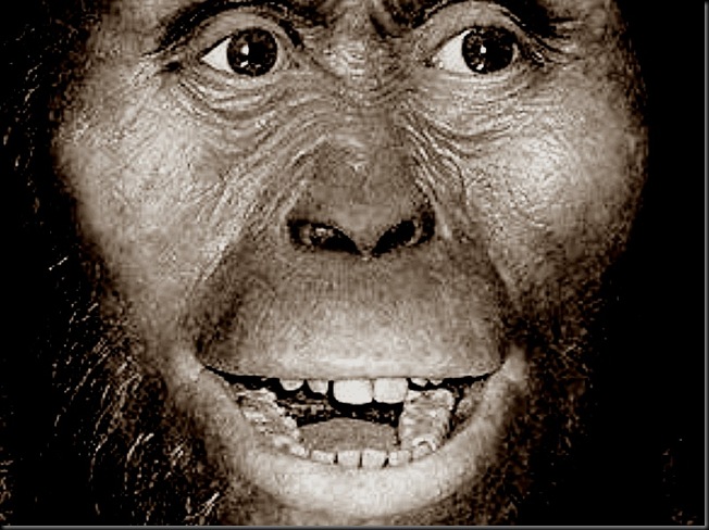 Australopithecus_afarensis
