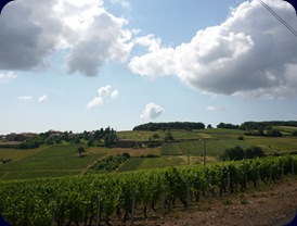 P1060731