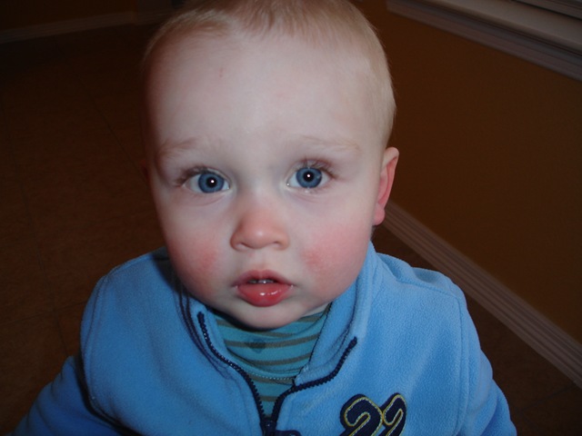 [blue fleece cutie (5)[2].jpg]