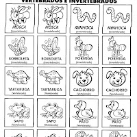 NO MUNDO DA ALFABETIZAÇÃO- VOLUME 5 089.jpg
