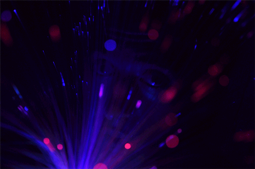[mamoun-stares[3].gif]
