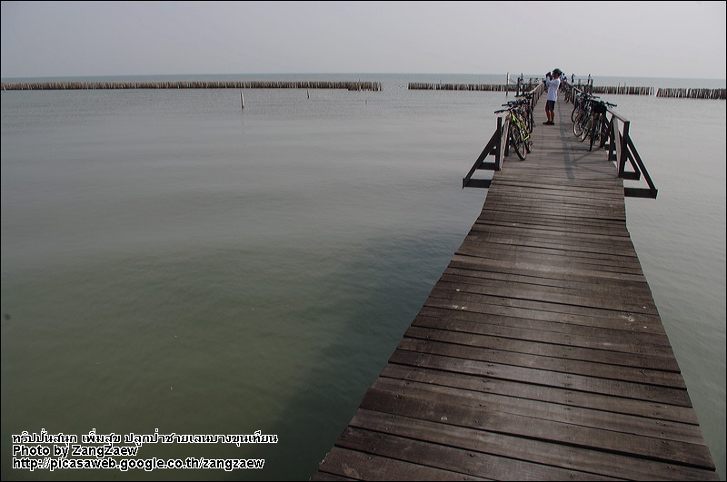 รูปภาพ