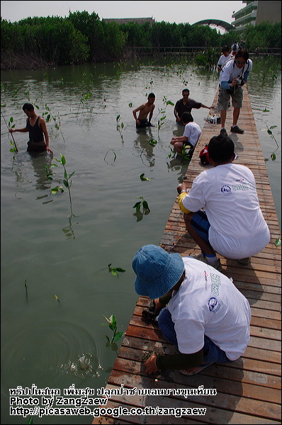 รูปภาพ