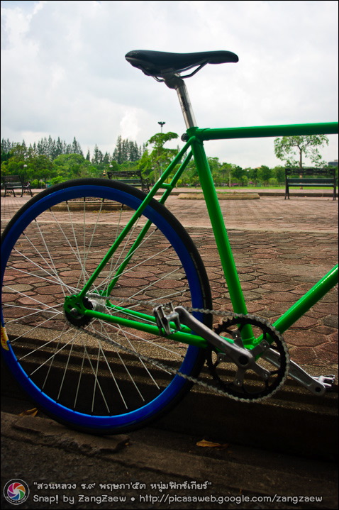 รูปภาพ