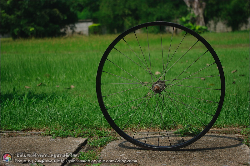 รูปภาพ