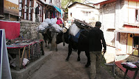 0421 Traffic Jam Dzo Style.jpg