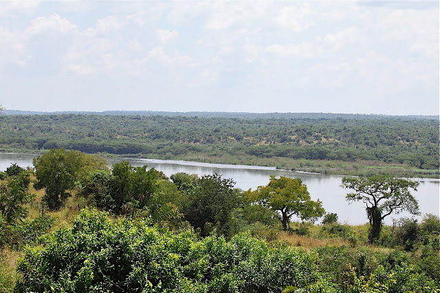 Марчисон Фолс (Murchison Falls) 