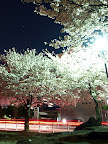 P4091185.JPG