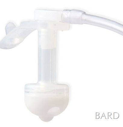 [bard47.jpg]