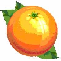 [Orange[2].jpg]
