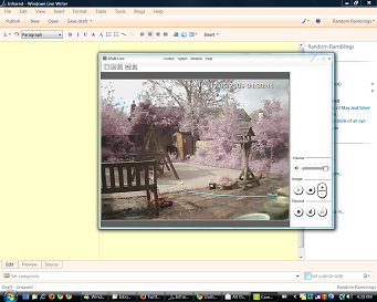 [Infrared view from the desktop[6].png]