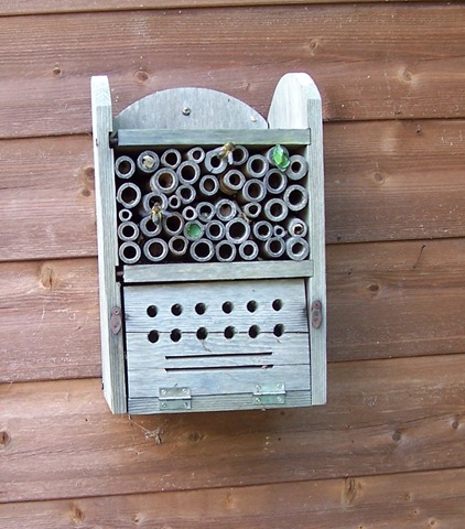 [Leaf-cutter bees ... with two chambers complete[4].jpg]