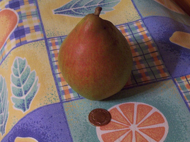[Ripe Williams' Pear[3].jpg]