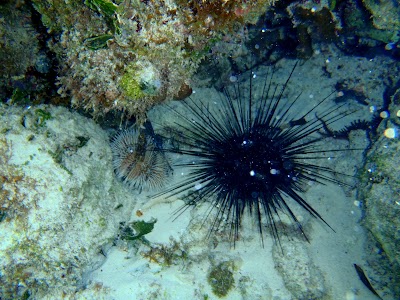 PB132414.JPG