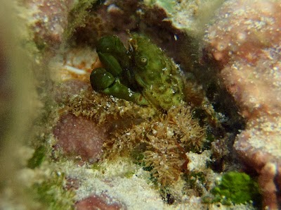 PB142479.JPG