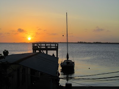 IMG_1684.JPG