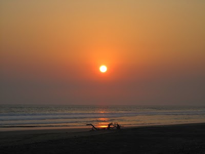 IMG_2330.JPG