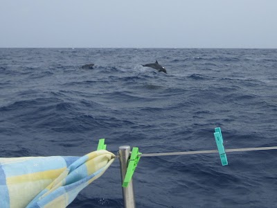 IMG_3464.JPG