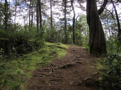 IMG_3685.JPG