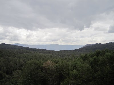 IMG_3710.JPG
