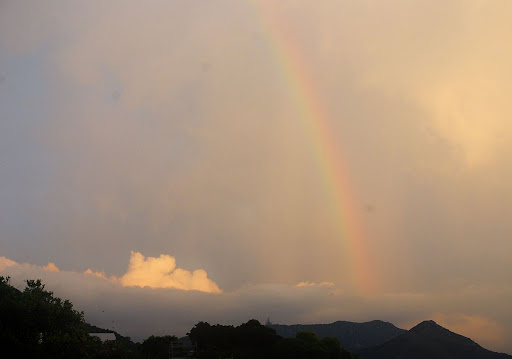 rainbow lamma