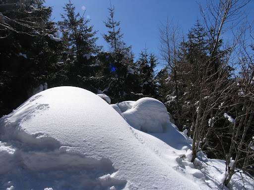 snowBowl.jpg